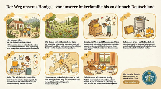 Illustrierte Schritt-für-Schritt-Grafik: Der Weg unseres Honigs von der Imkerfamilie Kaldanis in Epirus über Bienen in der Natur, schonende Pflege, Handernte und Glasabfüllung bis zum Versand nach Deutschland und zum Frühstückstisch des Kunden